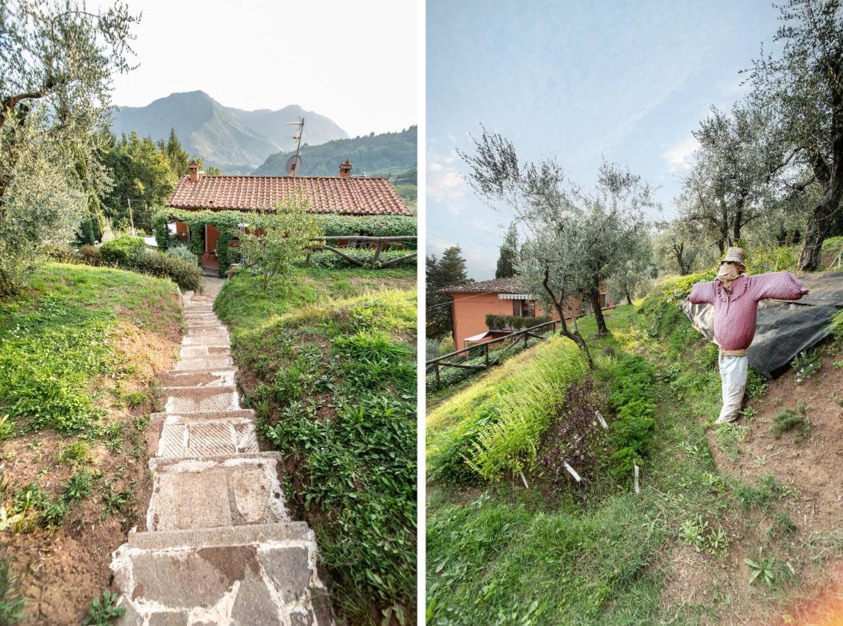 Casetta Di Butia, Glicine Apartment Borgo a Mozzano Exterior foto